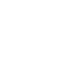 Bengal Regency logo.